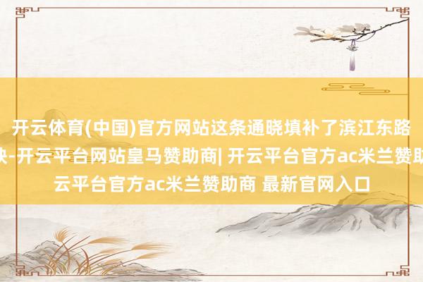 开云体育(中国)官方网站这条通晓填补了滨江东路区域轨谈交通空缺-开云平台网站皇马赞助商| 开云平台官方ac米兰赞助商 最新官网入口
